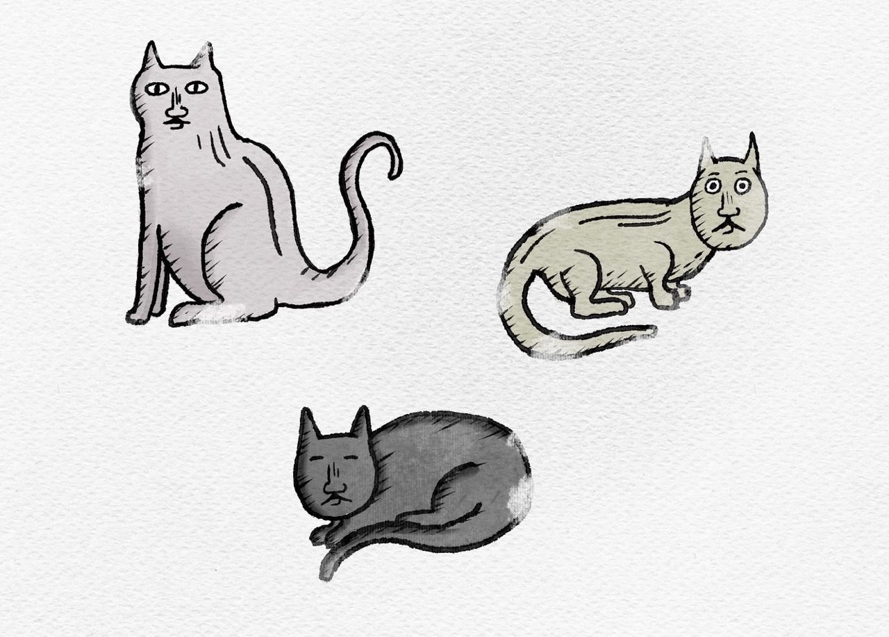 Three illustrations of cats in a medieval style.