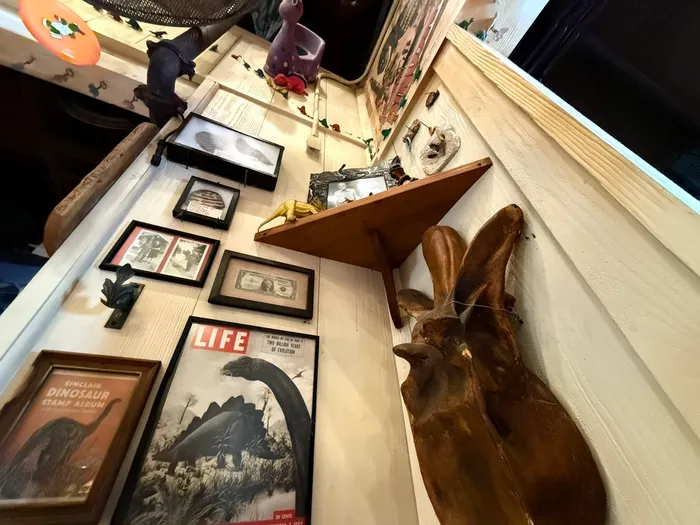 Items on the wall of the Dinosaur theme store in Animal Kindgom